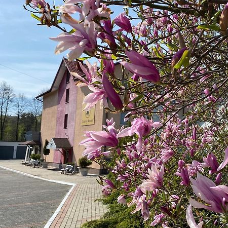 Obiekt "Czarny Rycerz" Aparthotel Jastrzębie Zdrój Exterior foto
