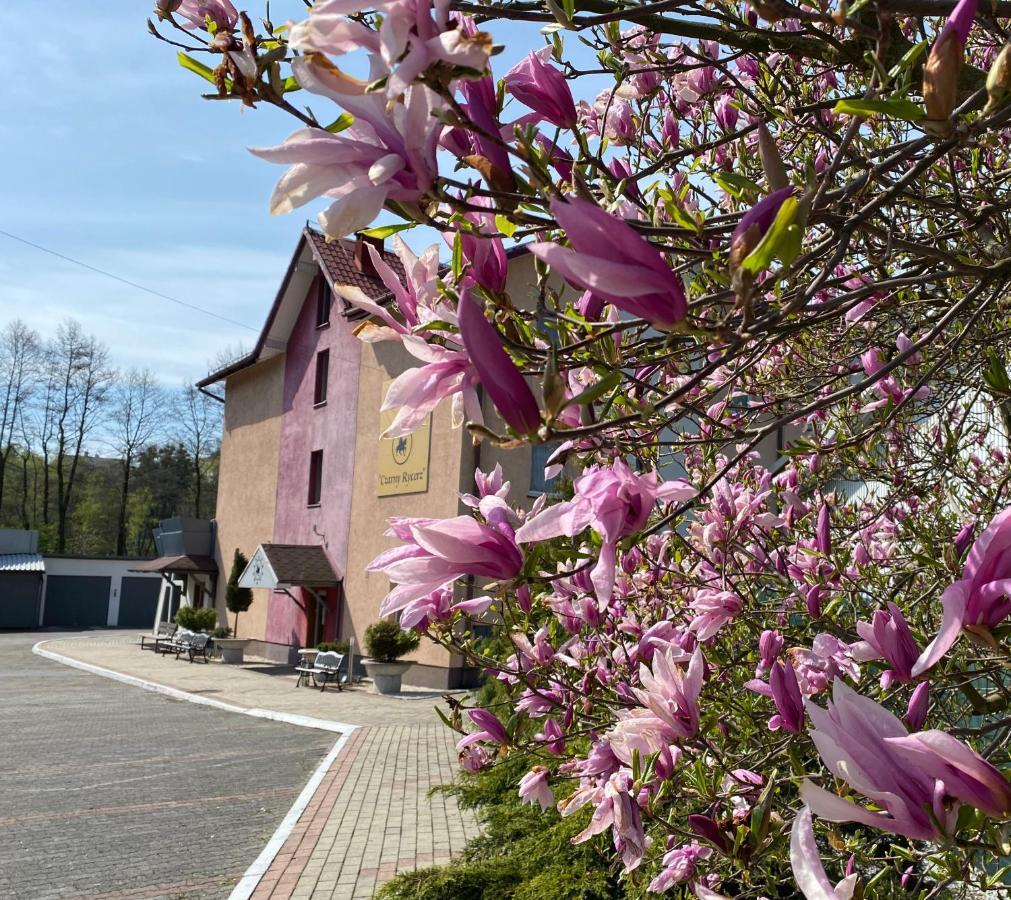 Obiekt "Czarny Rycerz" Aparthotel Jastrzębie Zdrój Exterior foto
